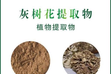 黄藤素：探索其治疗作用与应用前景