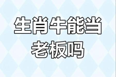 什么八字打工命，什么老板命：解密职场人生的命理魅力