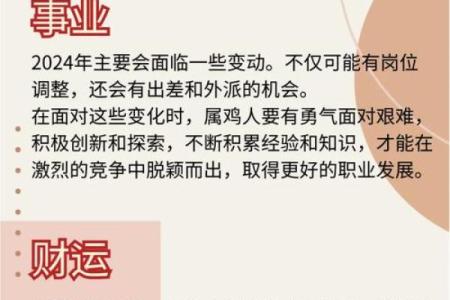 女属鸡金命：适合从事的行业探索与建议