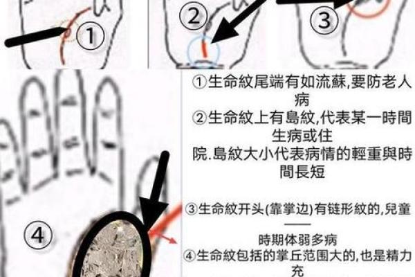 手相揭秘：从掌纹看你的人生命运与性格特征
