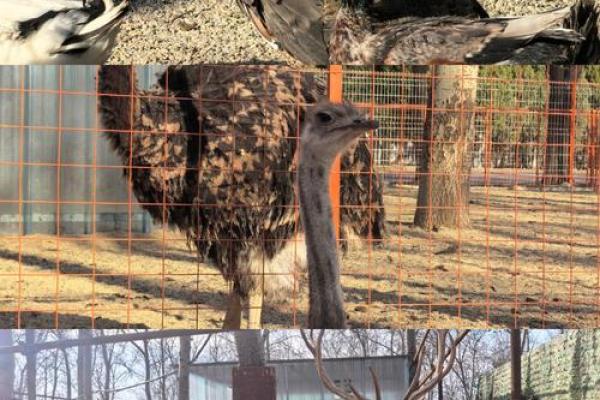 根据命的人养宠物，总能与小生命共度快乐时光！