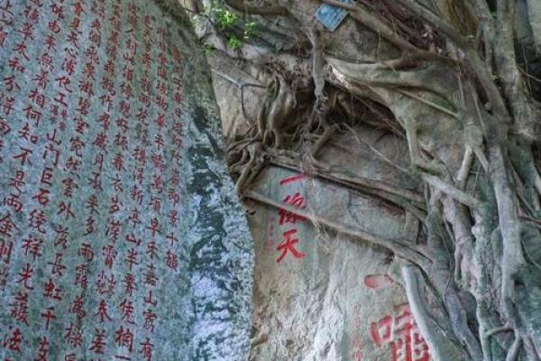 命中注定，庙宇之外：探究为何有些人注定无法踏入寺庙当官