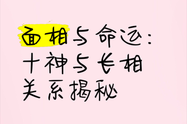 命运的交错：揭秘两人婚姻背后的缘分与选择