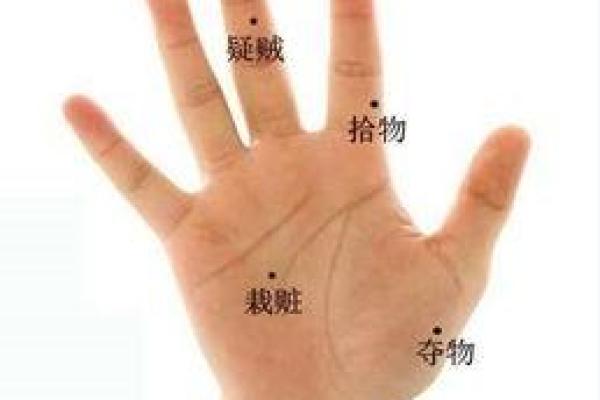 手掌纹路揭示命运之谜：你的命运指纹在这里！
