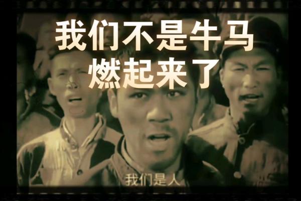 属牛马的你，如何在烈日之下绽放属于自己的光芒？