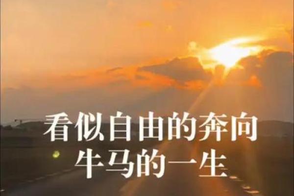 属牛马的你，如何在烈日之下绽放属于自己的光芒？