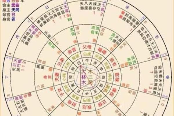 揭秘紫微命盘:什么样的命盘让你颜值出众? 揭秘紫微命盘:什么样的命盘让你颜值出众?