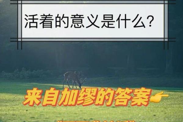 能以命换命吗?探讨生命的真正意义与价值 能以命换命吗?探讨生命的真正意义与价值