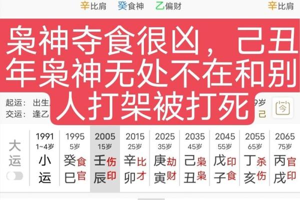 生肖命带禄神：解密不同生肖的人生财运与机遇