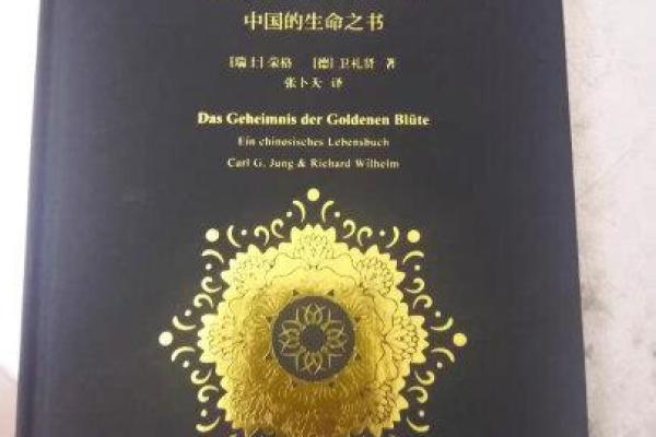 人中龙凤,命格解析:揭示成功与财富的秘密 人中龙凤,命格解析:揭示成功与财富的秘密