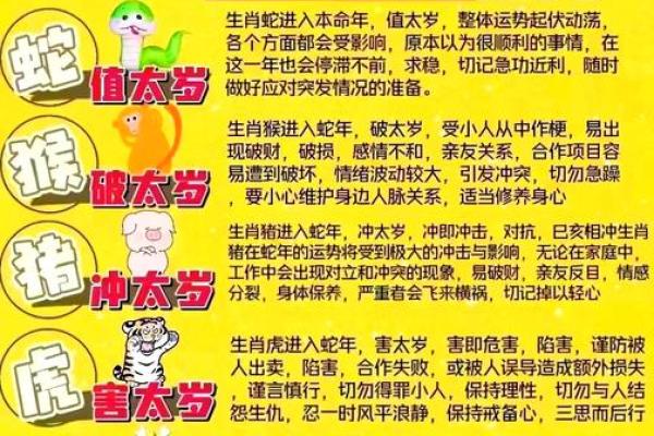 女孩卯时属羊的命运解析：温和内敛，智慧与魅力并存