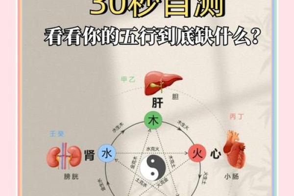 三月石榴木命五行解析：探寻生命的无尽智慧与机遇