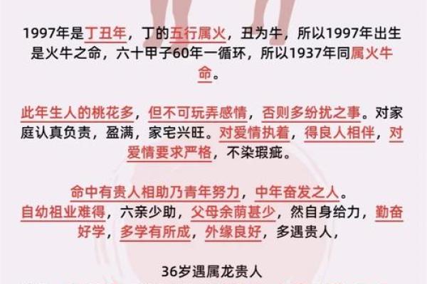 属牛人在五行中的命理解析：勤劳坚韧的象征与命运之道