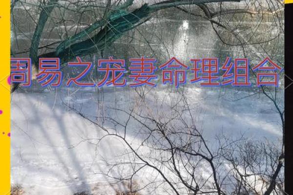 揭秘命格：如何查找你的命格特征与性格解析