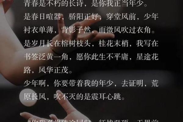命如草芥，热血青春——歌声里的坚定与脆弱