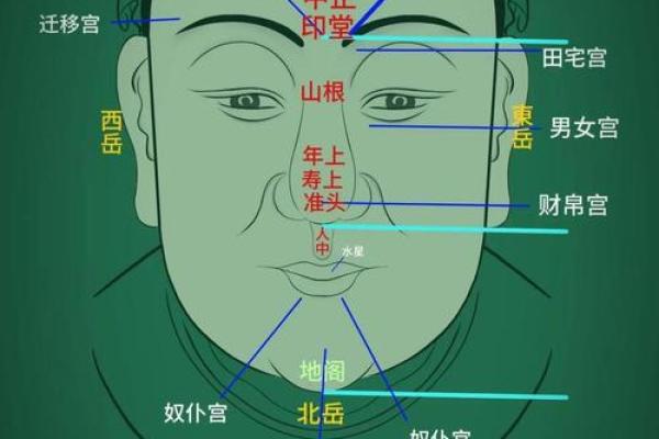 如何通过观察一个人的特征与行为判断其命运走向