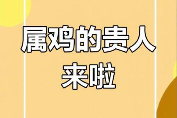 属鸡的命理解析：五行属相与人生运势的联系