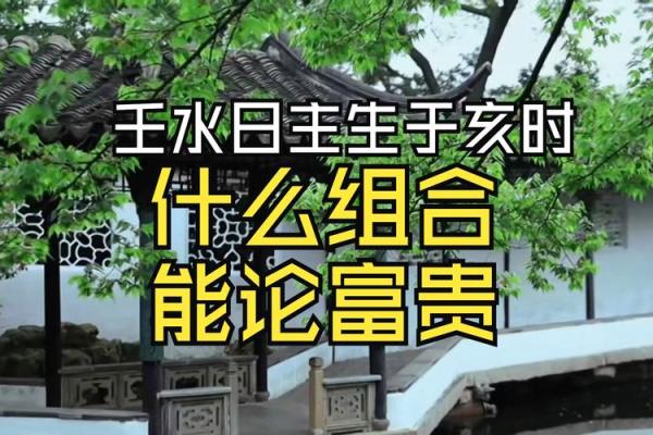 壬水命与最佳命理组合:揭示生活中的和谐美好 壬水命与最佳命理组合:揭示生活中的和谐美好