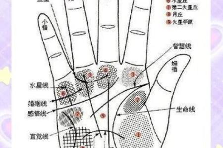 手相揭秘：从掌纹看你的人生命运与性格特征
