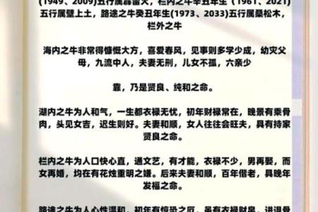 属牛2月出生的人命运分析：勇敢奋进，稳健成就人生