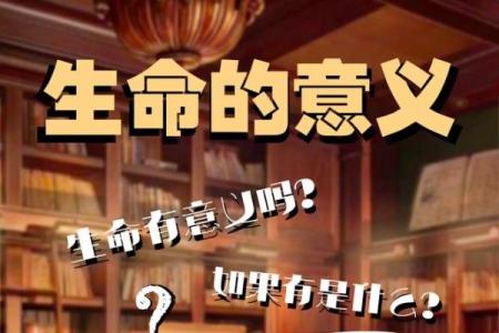 能以命换命吗？探讨生命的真正意义与价值