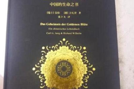 人中龙凤，命格解析：揭示成功与财富的秘密