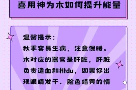 木命人适合什么颜色？打造运势与生活的完美平衡！
