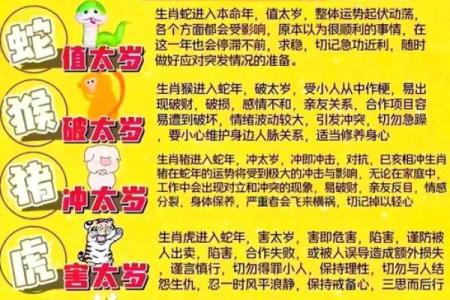 女孩卯时属羊的命运解析：温和内敛，智慧与魅力并存