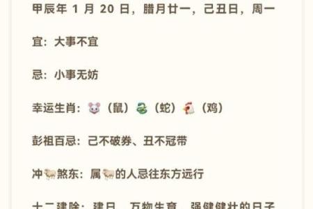 壬寅年子时出生的命运解析：天生的领导者与智慧者