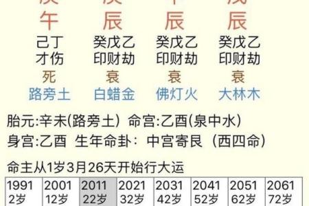 如何利用木命特点，选择适合的职业与投资机会