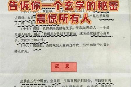 根据命运五行配对，找到最合适的生活伴侣