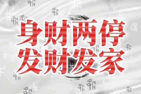 身财两停的命忌与最佳大运选择分析