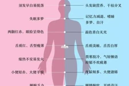 男命四阴四阳：解读传统命理中的阴阳平衡