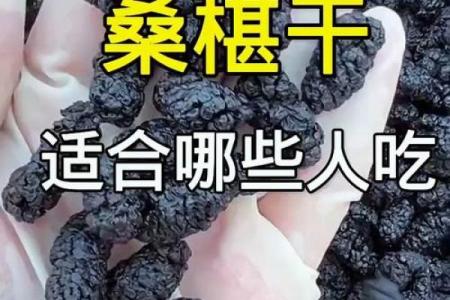 桑葚木命人如何选择适合自己的职业与生活方式