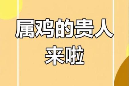 属鸡的命理解析：五行属相与人生运势的联系