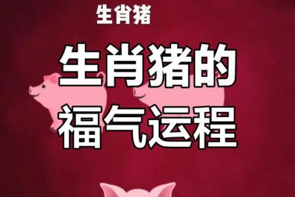 属猪人每月的命运与运势探秘：幸福与挑战并存