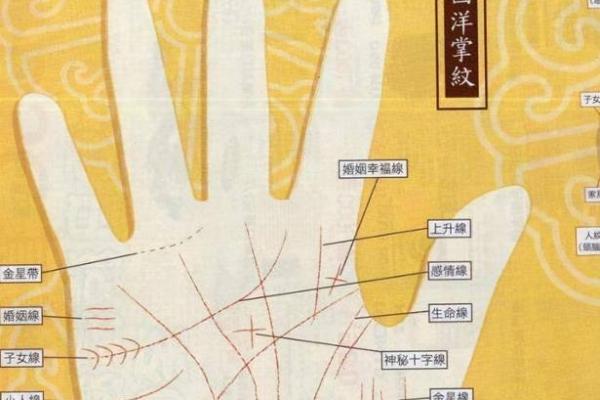 揭秘手纹:婚姻、财运与命格的秘密解析 揭秘手纹:婚姻、财运与命格的秘密解析