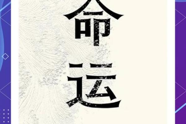 穷人的命运:在困境中探索希望的光芒 穷人的命运:在困境中探索希望的光芒