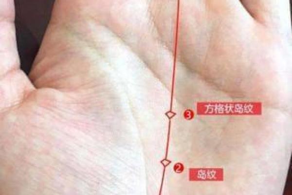 手心中有方格纹的命运解析:你是个特别的人吗? 手心中有方格纹的命运解析:你是个特别的人吗?