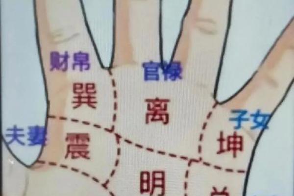 手心中有方格纹的命运解析:你是个特别的人吗? 手心中有方格纹的命运解析:你是个特别的人吗?