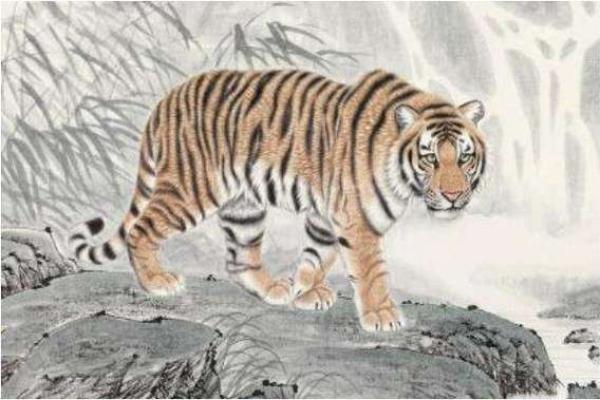 属虎冬天出生的人命运特点与生活解析