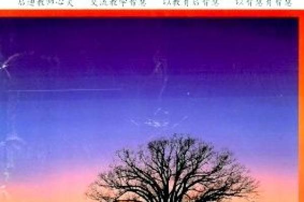 女命有学堂的意义与智慧的启迪 女命有学堂的意义与智慧的启迪