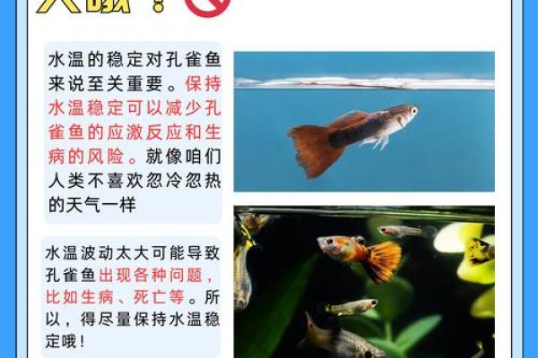适合养鱼的人:从命理角度探索水族世界的魅力 适合养鱼的人:从命理角度探索水族世界的魅力