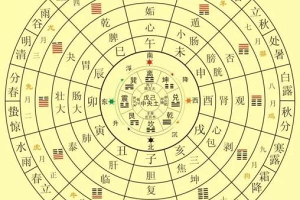 生肖中的神秘：只有六个月命的生肖传说