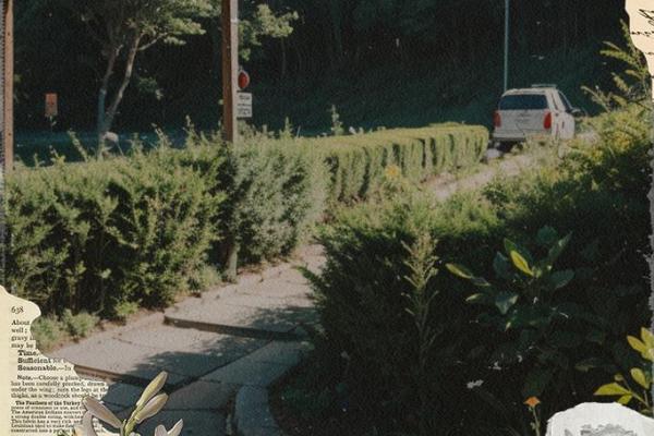 每个女人都应珍视的命运之花：属于自己的幸福与自由