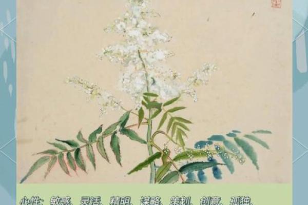 揭示农历四月初四的命理秘密，探索命运的奥秘与人生的可能性！