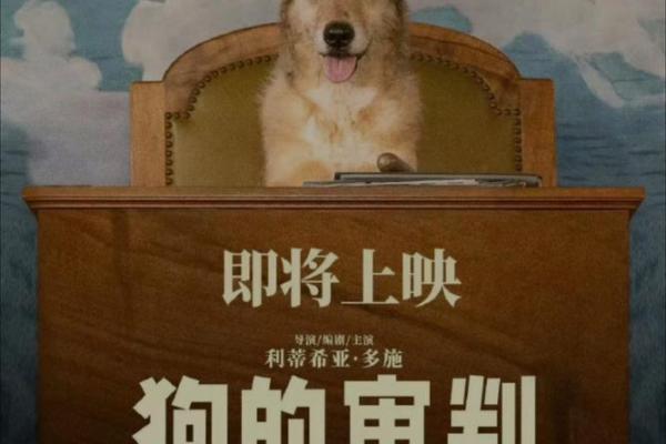 属鼠的狗巡视，揭开命运的神秘面纱