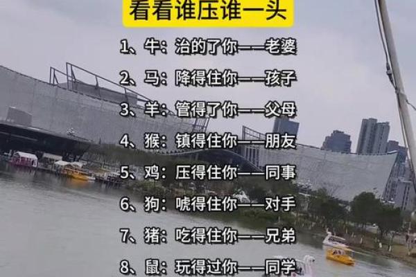 哪个属相的人最相信他人？探究与信任的关系