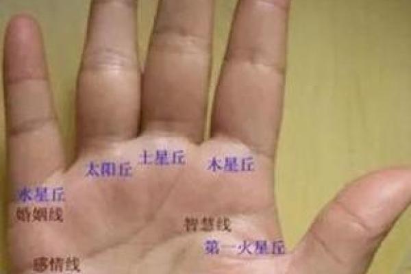 手相揭秘:如何通过手纹解读你的命运与人生之路 手相揭秘:如何通过手纹解读你的命运与人生之路