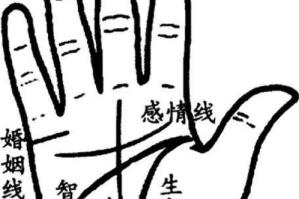 手相揭秘:如何通过手纹解读你的命运与人生之路 手相揭秘:如何通过手纹解读你的命运与人生之路